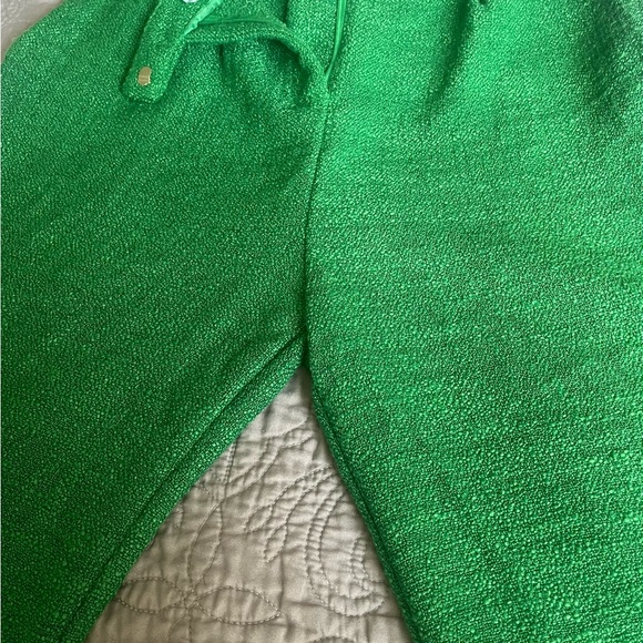 NWT Sweet Lemon Kelly Green Wide Leg Pants Size Large - Picture 7 of 9